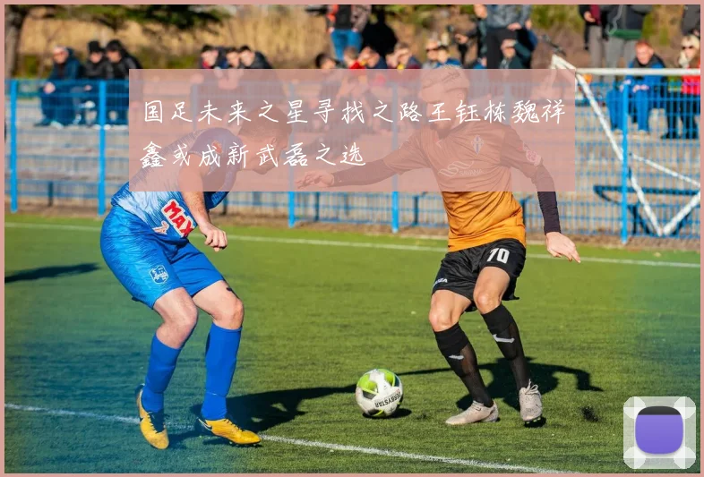 国足未来之星寻找之路王钰栋魏祥鑫或成新武磊之选